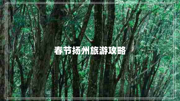 春節(jié)揚(yáng)州旅游攻略