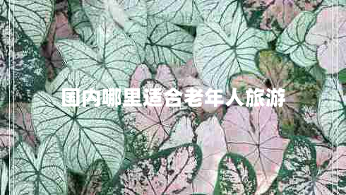 國內(nèi)哪里適合老年人旅游