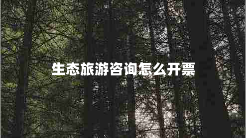 生態(tài)旅游咨詢怎么開票