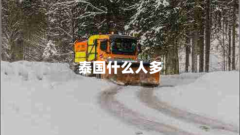 泰國(guó)什么人多 泰國(guó)什么人多