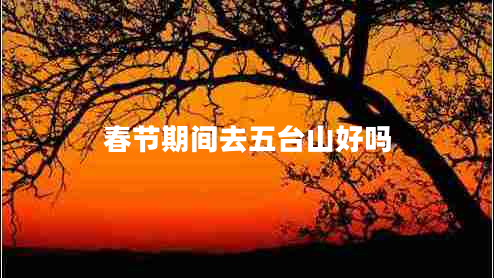 春節(jié)期間去五臺山好嗎