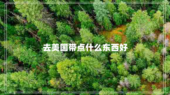 去美國(guó)帶點(diǎn)什么東西好 去美國(guó)帶點(diǎn)什么東西好