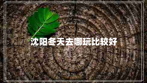 沈陽冬天去哪玩比較好