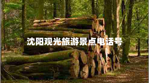 沈陽觀光旅游景點電話號