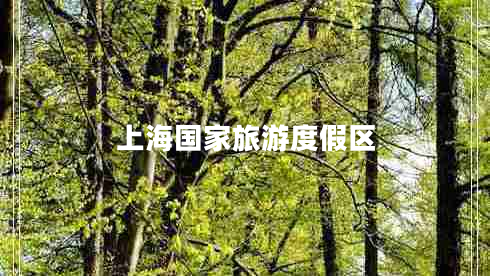 上海國家旅游度假區(qū)