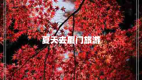 夏天去廈門旅游