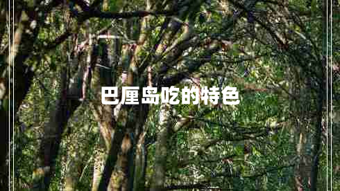 巴厘島吃的特色