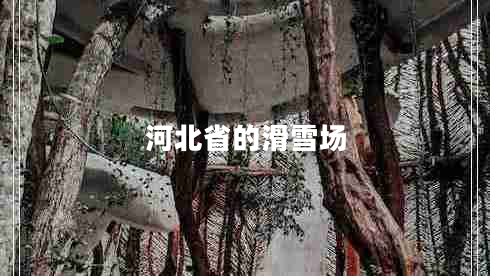 河北省的滑雪場