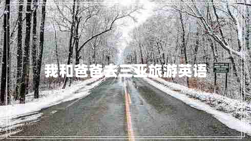 我和爸爸去三亞旅游英語