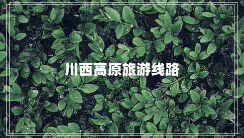 川西高原旅游線路