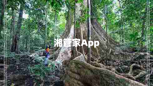 湘管家App 湘管家App