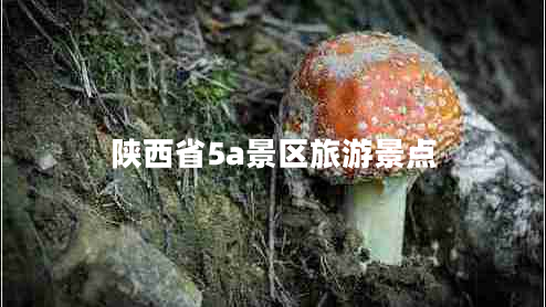 陜西省5a景區(qū)旅游景點
