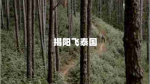 揭陽(yáng)飛泰國(guó)