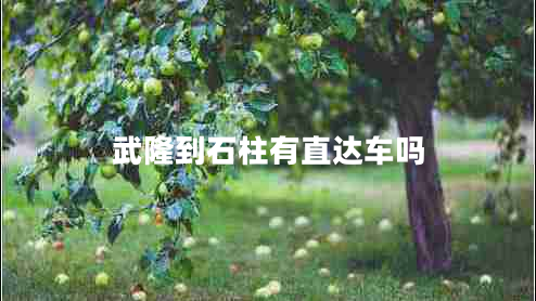 武隆到石柱有直達(dá)車嗎