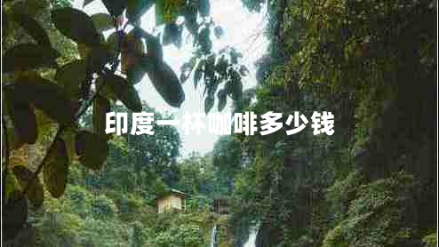 印度一杯咖啡多少錢