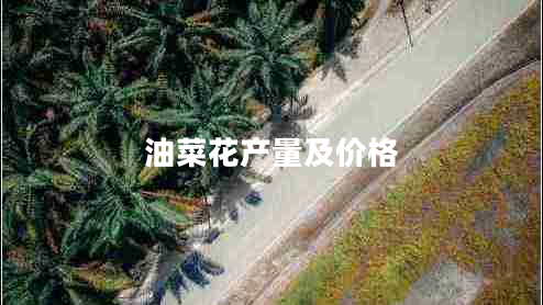 油菜花產(chǎn)量及價(jià)格 油菜花產(chǎn)量及價(jià)格