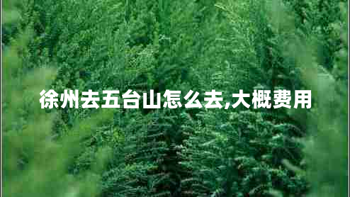 徐州去五臺山怎么去,大概費用