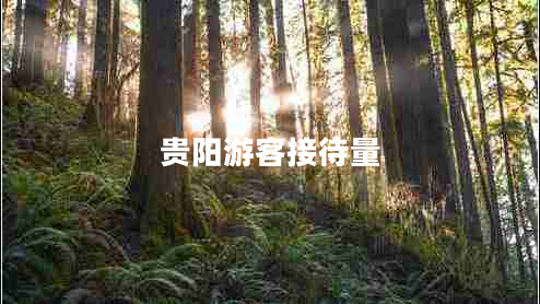 貴陽(yáng)游客接待量 貴陽(yáng)游客接待量