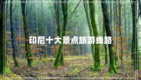 印尼十大景點(diǎn)旅游線路