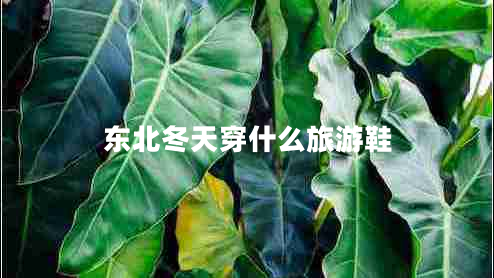 東北冬天穿什么旅游鞋