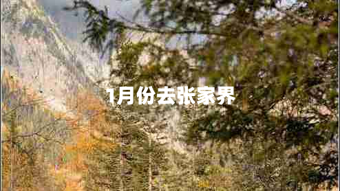 1月份去張家界