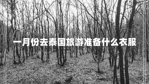 一月份去泰國旅游準備什么衣服 一月份去泰國旅游準備什么衣服