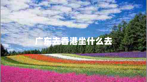 廣東去香港坐什么去