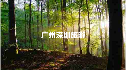 廣州深圳旅游 廣州深圳旅游