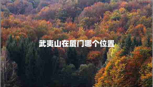 武夷山在廈門哪個位置