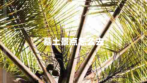 墓土景點(diǎn)怎么去