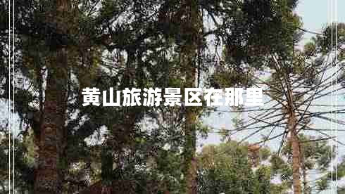 黃山旅游景區(qū)在那里