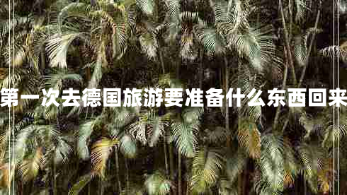 第一次去德國(guó)旅游要準(zhǔn)備什么東西回來