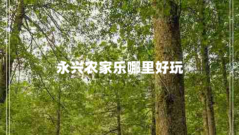 永興農(nóng)家樂(lè)哪里好玩