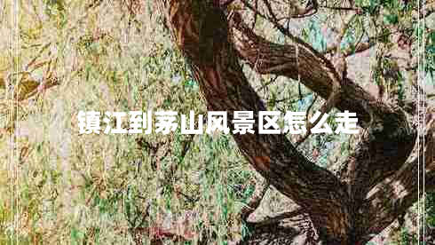 鎮(zhèn)江到茅山風景區(qū)怎么走