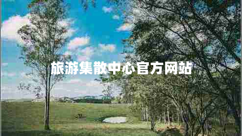 旅游集散中心官方網(wǎng)站