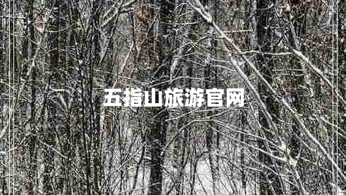 五指山旅游官網(wǎng)