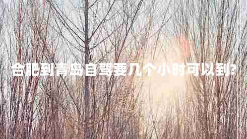 合肥到青島自駕要幾個小時可以到?