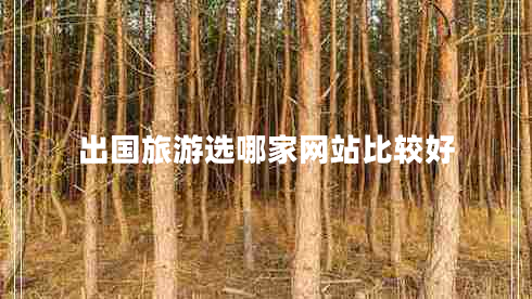 出國旅游選哪家網站比較好