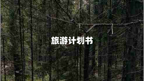 旅游計劃書