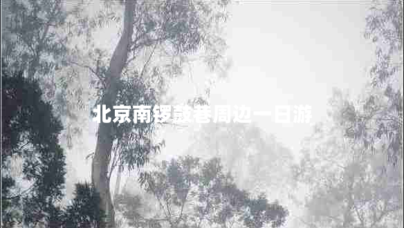 北京南鑼鼓巷周邊一日游