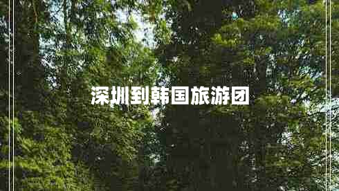深圳到韓國(guó)旅游團(tuán)