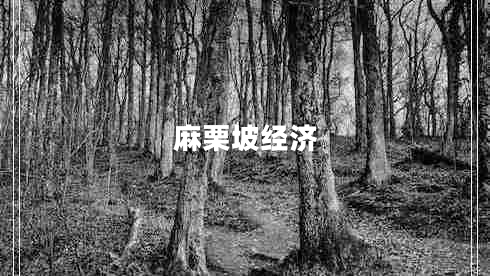 麻栗坡經(jīng)濟