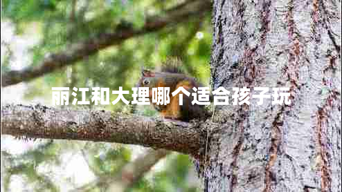 麗江和大理哪個(gè)適合孩子玩