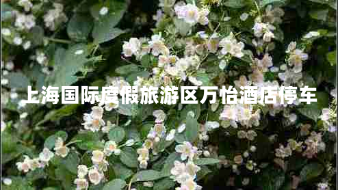 上海國(guó)際度假旅游區(qū)萬(wàn)怡酒店停車