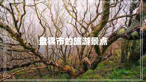 盤(pán)錦市的旅游景點(diǎn)
