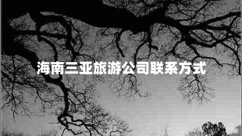 海南三亞旅游公司聯(lián)系方式