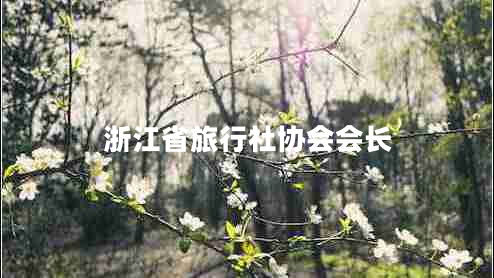 浙江省旅行社協(xié)會會長