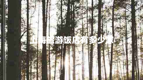 上海旅游飯店有多少家