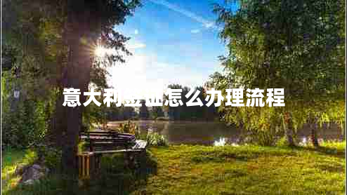 意大利簽證怎么辦理流程