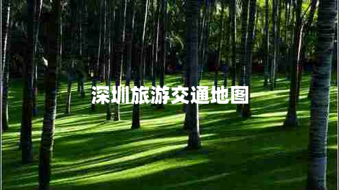 深圳旅游交通地圖